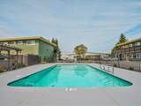 1-bedroom apartment at The Grove Apartments in Rohnert Park